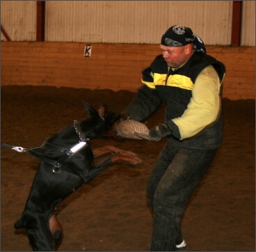 Training in Estonia 11/2007